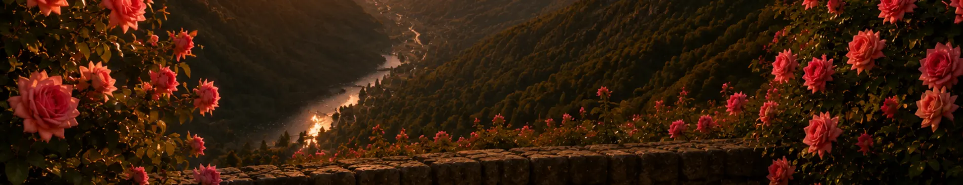 Paysage sombre du Rhône